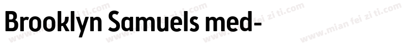Brooklyn Samuels med字体转换